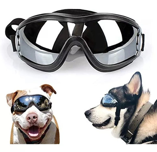 🐾😎 Gafas Protectores para Perros – Cómodas y Estilosas