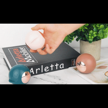 Bola quita pelos reutilizable quita mota