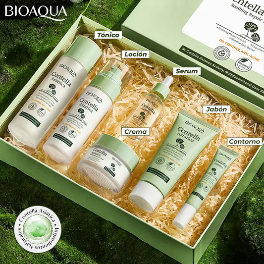 CAJA DE LUJO CENTELLA ASIÁTICA 330g