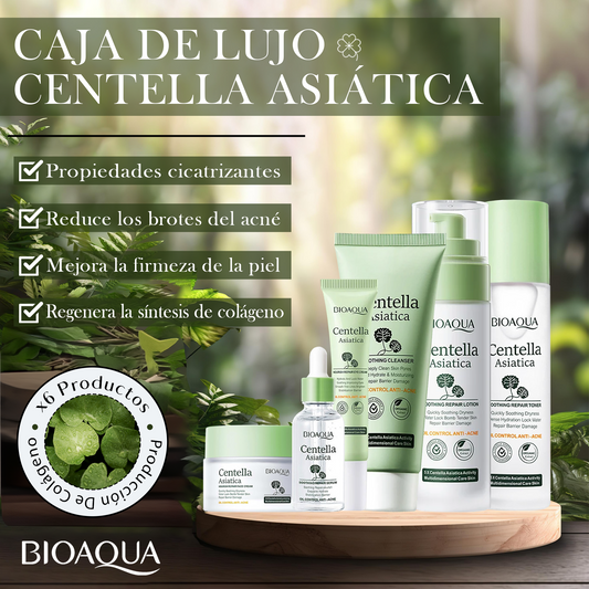 CAJA DE LUJO CENTELLA ASIÁTICA 330g