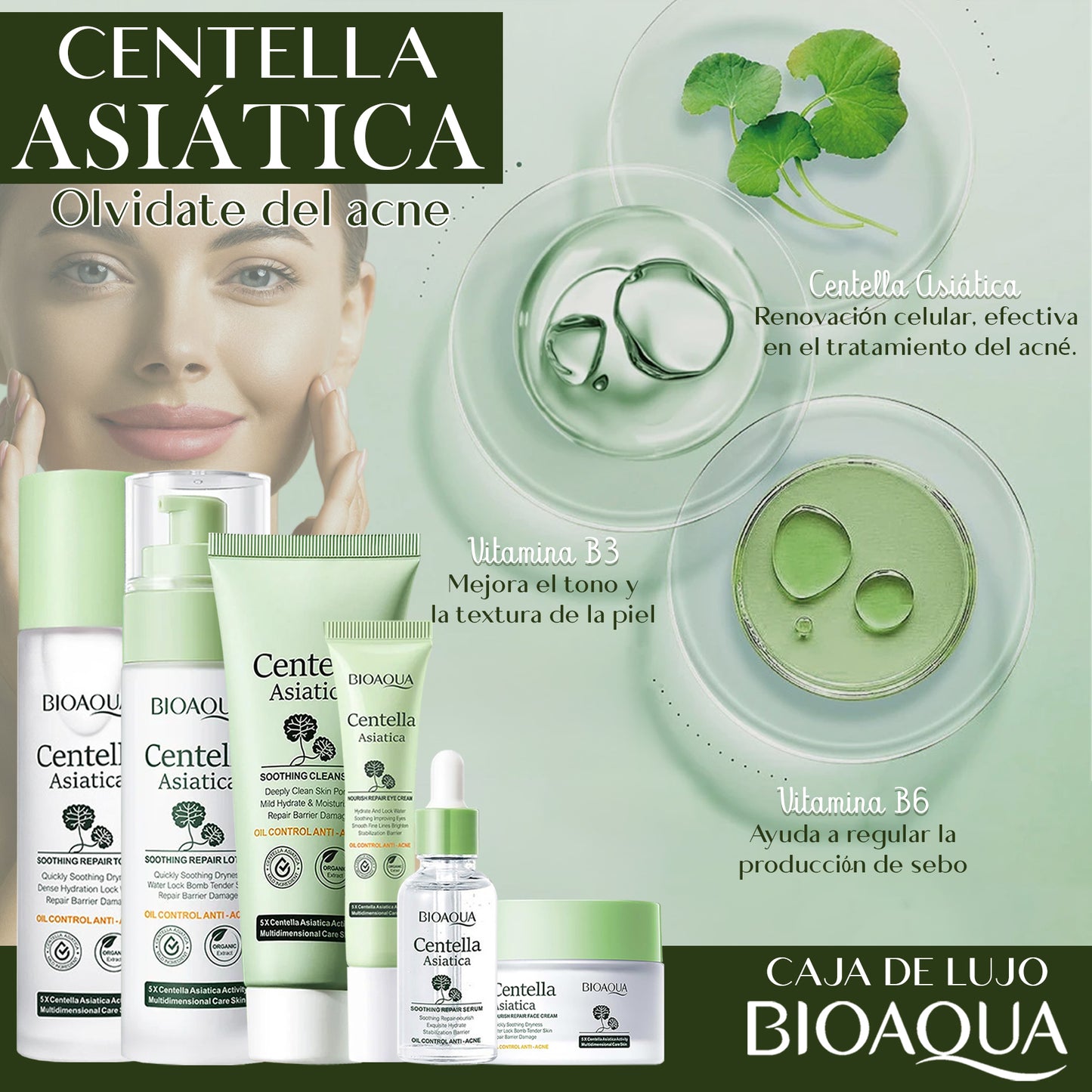 CAJA DE LUJO CENTELLA ASIÁTICA 330g